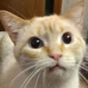 Meet your Posher, Mandy